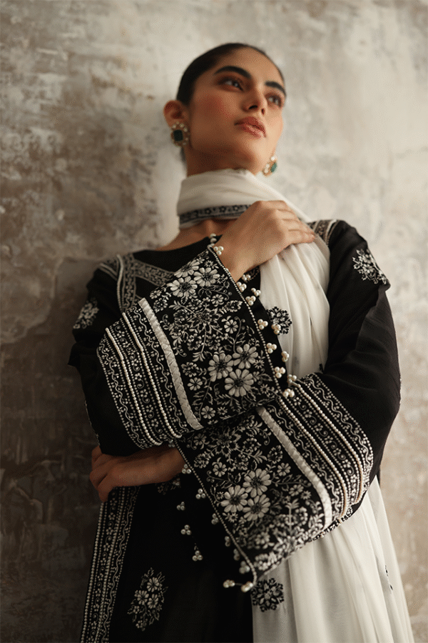 AP-0079 - Image 2