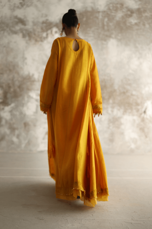 AP-0063-MY - Image 4